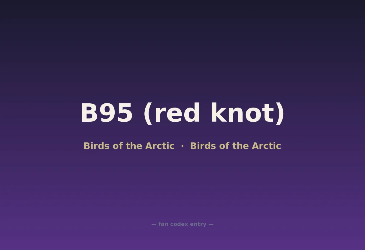 B95 (red knot)