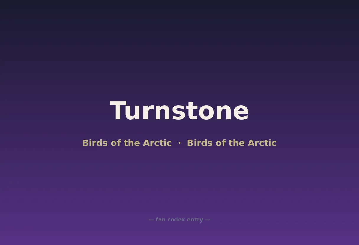 Turnstone